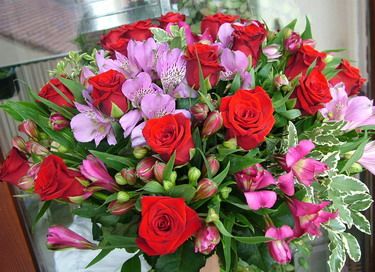 rote Rosen mit Violett Inkalilie (30 Stämme)